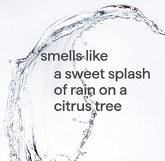 sweet water gel hand wash 3-count bundle