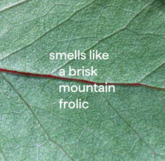 daily shower spray refill - eucalyptus mint, 68 fl oz