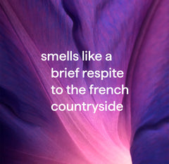 all-purpose cleaner refill - french lavender, 68 fl oz