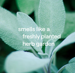 squirt + mop hard floor cleaner - spearmint sage, 25 fl oz