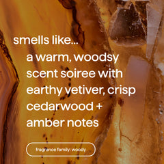 premium soy candle - vetiver + amber, 14 oz