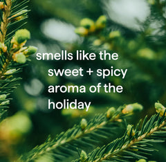 foaming hand wash - balsam + berry, 10 fl oz