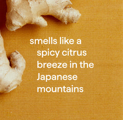 all-purpose cleaner - ginger yuzu, 28 fl oz