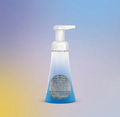 foaming hand wash - frost + flurry, 10 fl oz