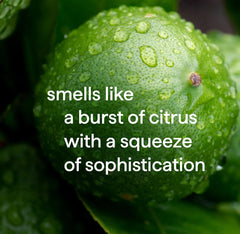 2-in-1 shampoo + conditioner - bergamot + lime, 14 fl oz